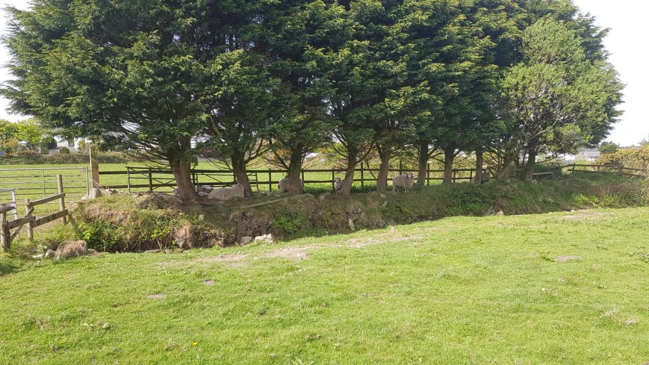 Cornish Skies Glamping Pool Bagian luar foto