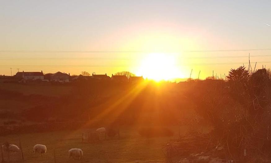 Cornish Skies Glamping Pool Bagian luar foto